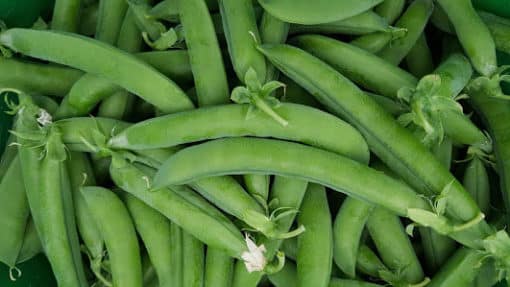 Petits Pois ( 120 gr)