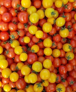 Tomates cerises (180 gr)