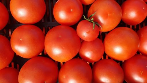 Tomates rondes 400 gr. mini