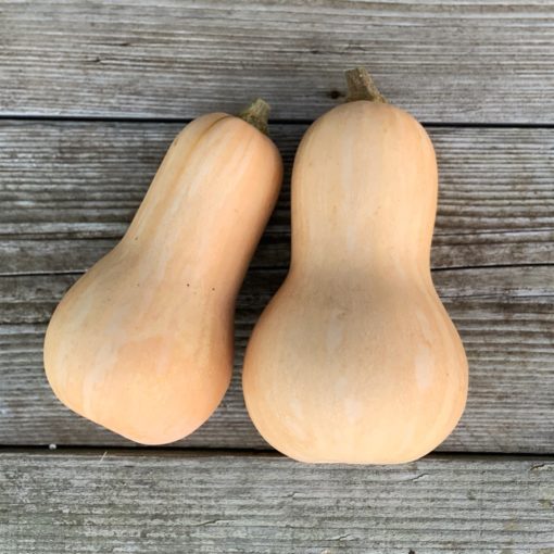 Butternut (1/2 ou 1 pièce - 500 gr. mini)