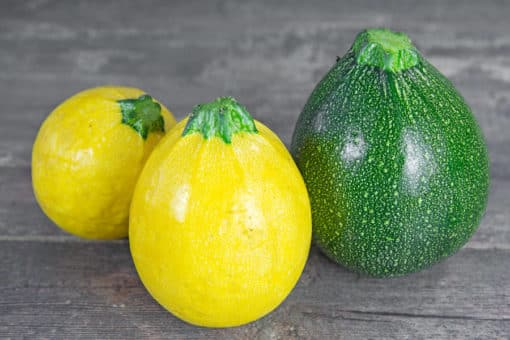 Courgette rondes (2 pièces)