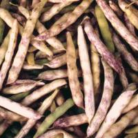 Haricot coco (300 gr)