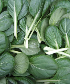 Tatsoï - Epinard Japonais (150 gr.)