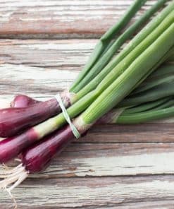 Oignons rouges botte
