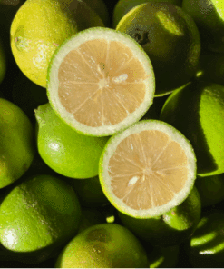 Citron Jaune Verdelli - Sicile