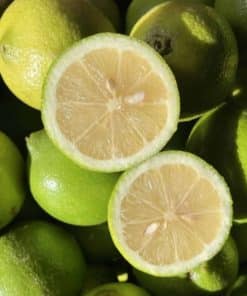 Citron Jaune Verdeli- Sicile