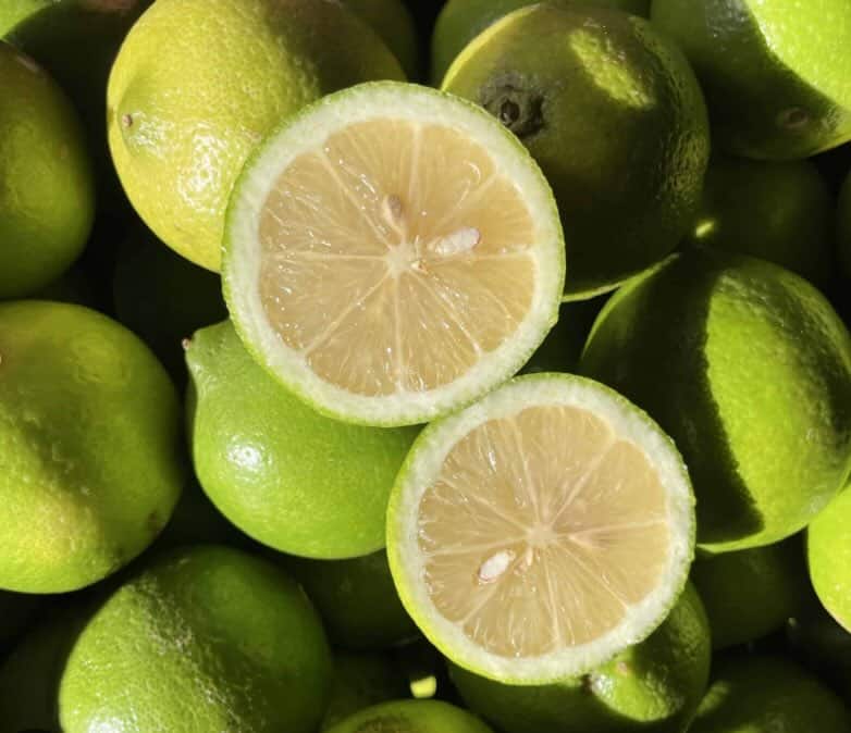 Citron Jaune Verdeli- Sicile