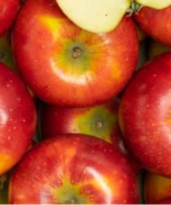 Pomme Pirouette biodynamie - France (44)