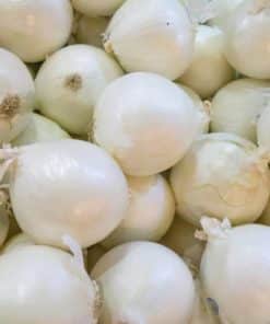 Oignon blanc nouveau ( env. 400 r.)