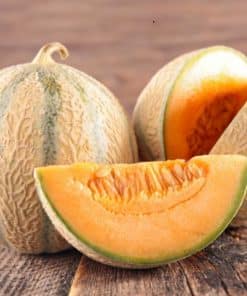 Melon bio charentais - France (1 pièce)