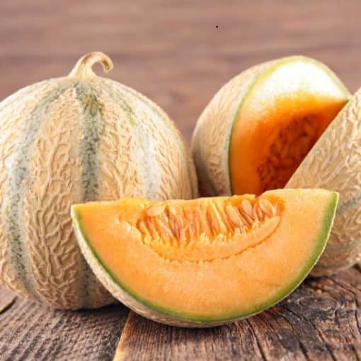 Melon bio charentais - France (1 pièce)