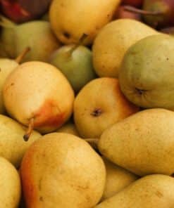 Poire William - France