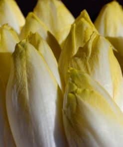 1 kg d'endives bio