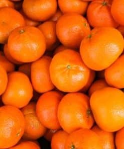 Mandarine Ciaculli bio – Sicile