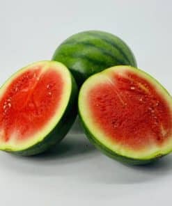 Mini pastèque